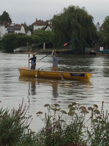 Unconventional rowing - Great River Race (London) preparation